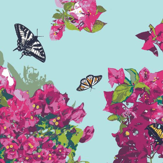 Bougainvillush